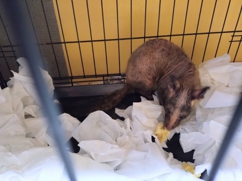 20260211_170731_copy_800x600