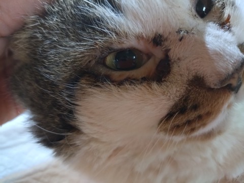 20260210_160320_copy_800x600