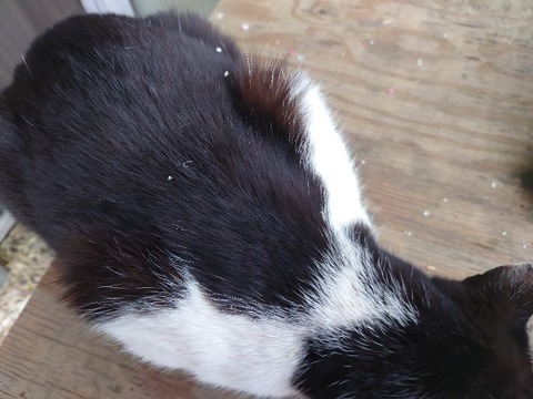 20230421_170629_copy_800x600