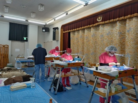 20260215_104040_copy_800x600