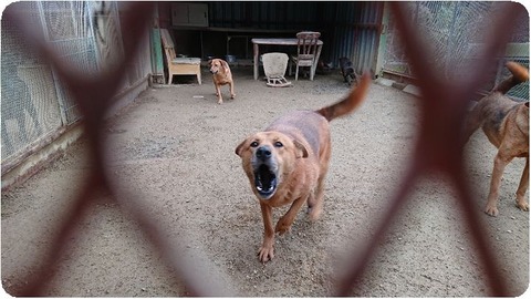 DSCPDC_0002_BURST20181126145