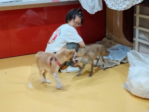 20260826_211024_copy_800x600