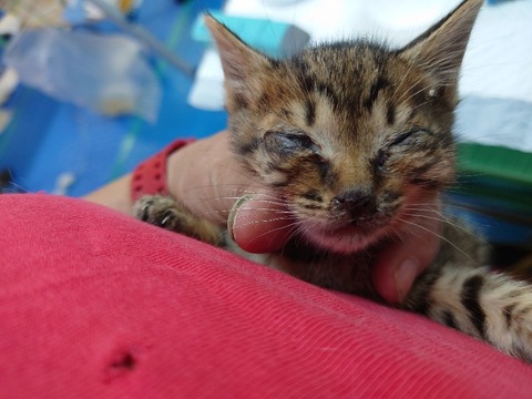 20230618_103325~2_copy_800x600