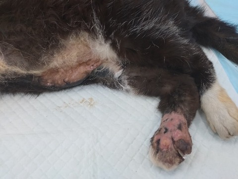 20240521_091610_copy_800x600