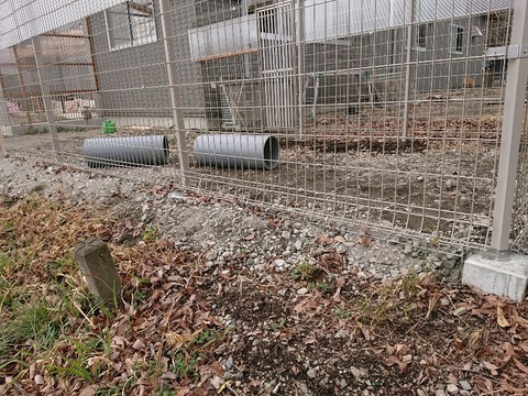 DSC_5885_copy_800x600