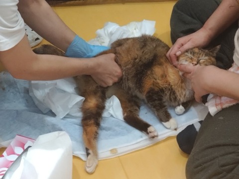 20260224_090227_copy_800x600