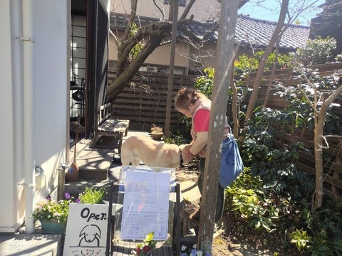 1773650752018_copy_800x600