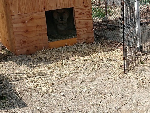 DSC_5995_copy_3200x2400_copy_800x600