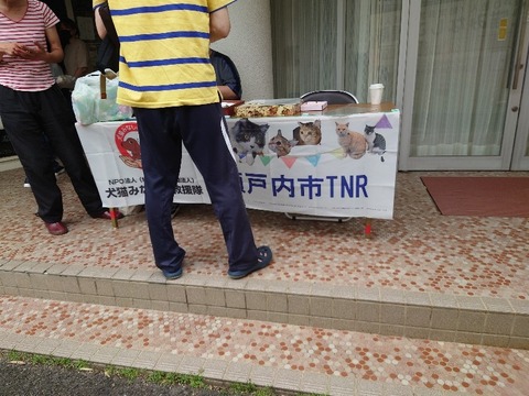 20230618_132709_copy_800x600