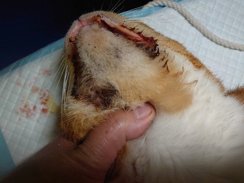 DSC_1627_copy_800x600