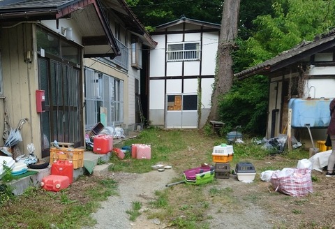 20230607_142755_copy_800x546