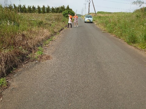 DSC_5993_copy_800x600