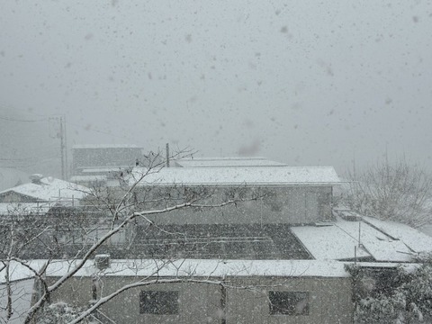 1770531463465_copy_800x600