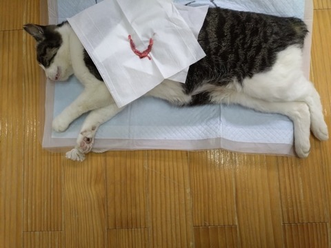 20251224_100453_copy_800x600