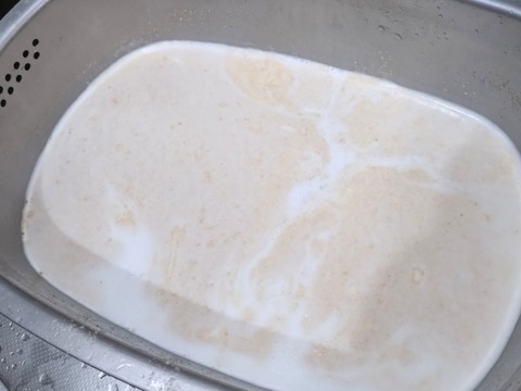 20260704_204834_copy_800x600