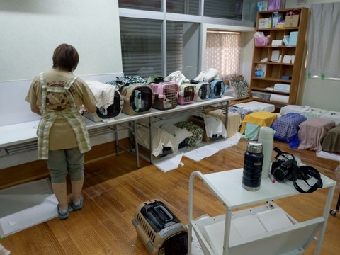 20251007_110049_copy_800x600