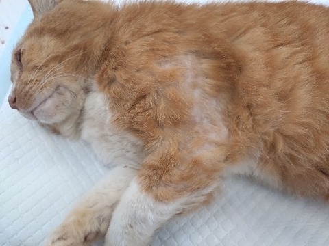 20240521_103920_copy_800x600