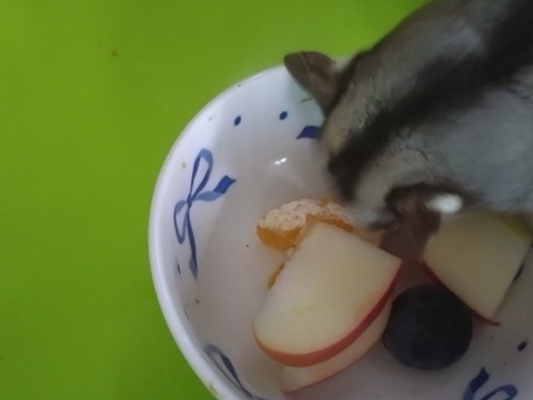 20251004_073452_copy_800x600