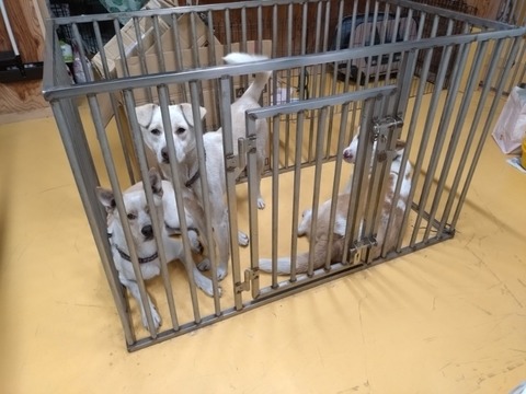 20251013_194916_copy_800x600