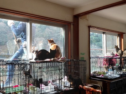 DSC_2758_copy_800x600