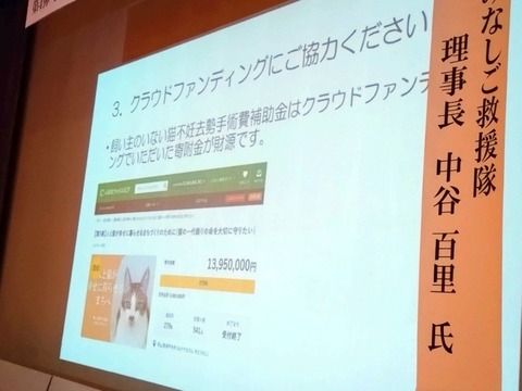 20250622_103534_copy_800x600