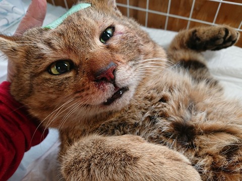 DSC_5830_copy_800x600