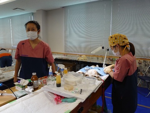 DSC_1751_copy_800x600
