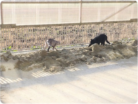 20250116_083503-EDIT