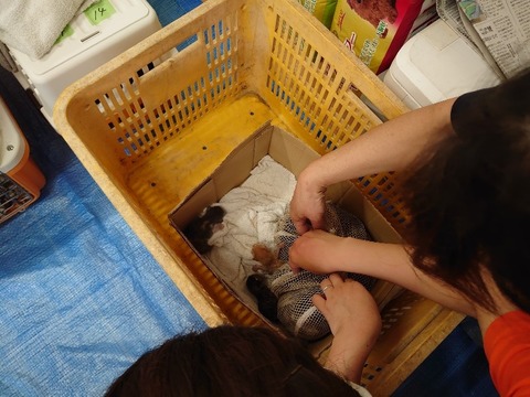 DSC_5961_copy_800x600