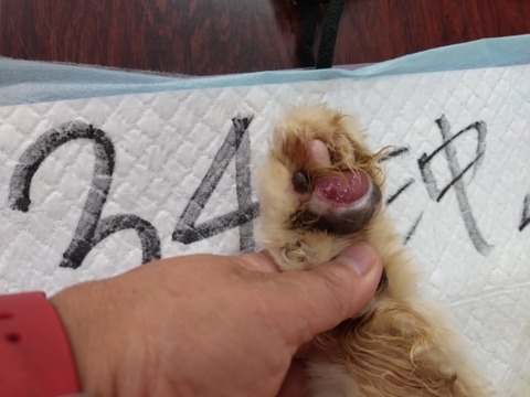 20251126_074217_copy_800x600