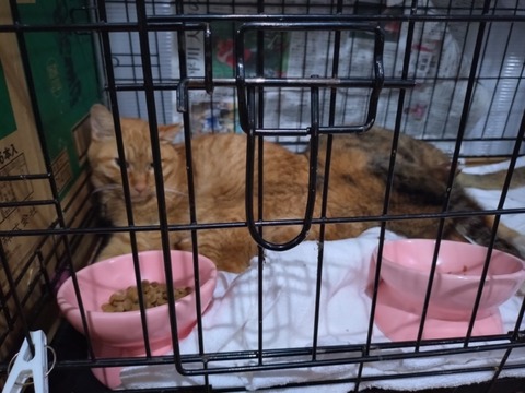 20260225_183135_copy_800x600