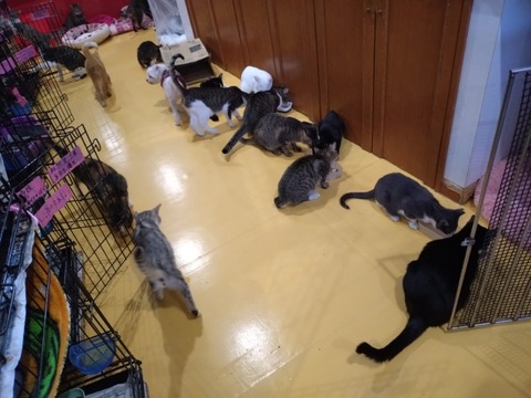 20251206_083629_copy_800x600