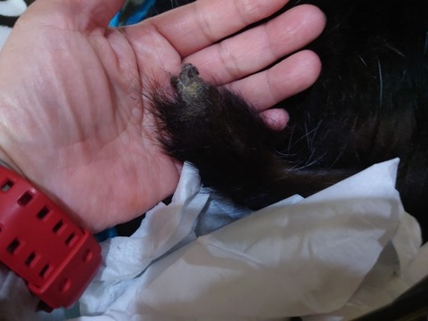 20230223_184946_copy_800x600