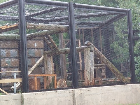 DSC_0333_copy_800x600