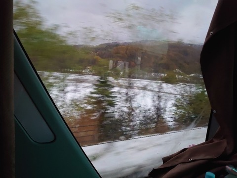 DSC_1049_copy_800x600_1