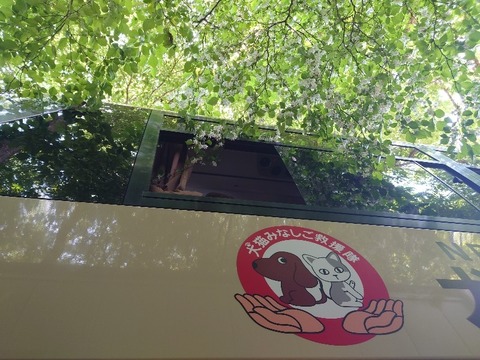 20230518_110421_copy_800x600