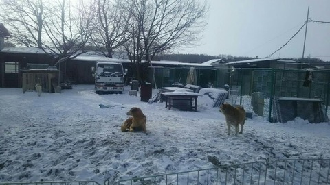 1516850473516-800x450