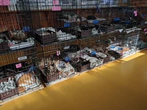 20260212_134707_copy_800x600