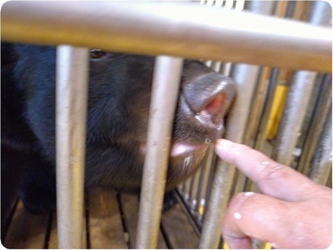 DSC_0000_BURST20251121071245215