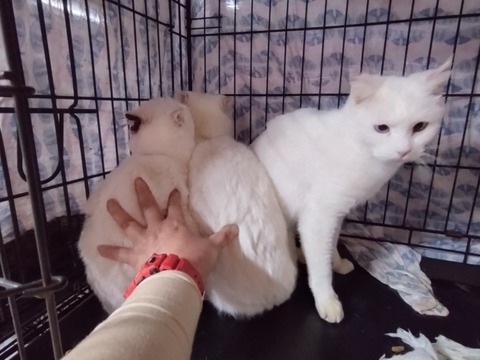 20251222_165213_copy_816x612