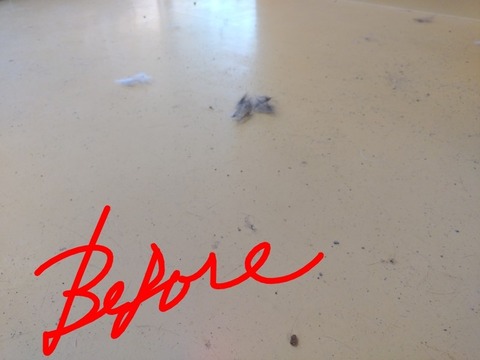 20251012_100404_copy_800x600~2