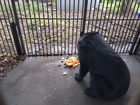 20251106_072756_copy_800x600