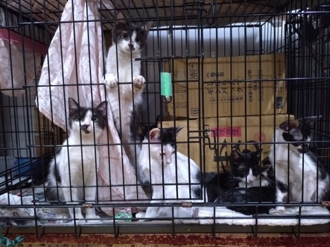 20251213_185402_copy_800x600