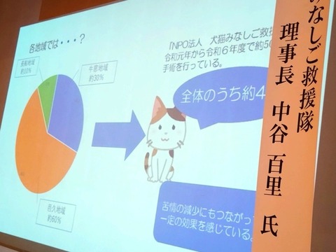 20250622_103419_copy_800x600