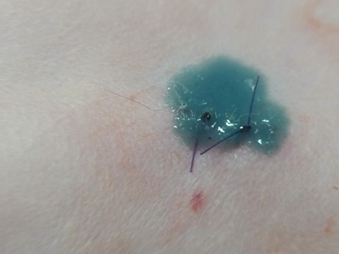 20260120_113535_copy_800x600