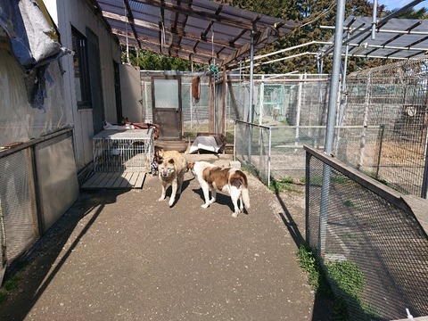 DSC_5777_copy_800x600