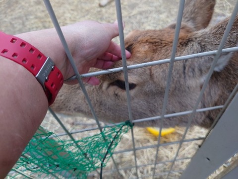 20230302_162103_copy_800x600