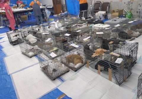 20260120_172022_copy_800x560