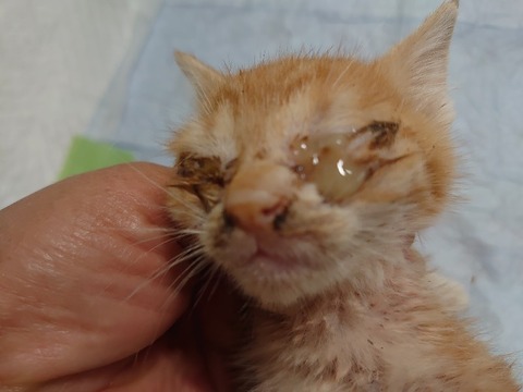 DSC_5976_copy_800x600