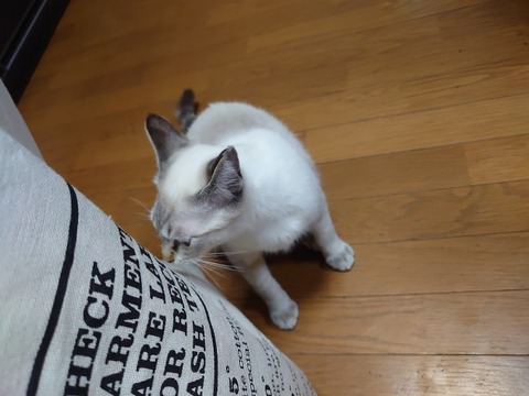 DSC_0902_copy_800x600